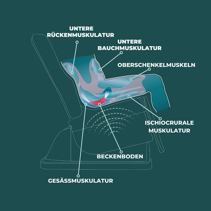explainer-beckenboden
